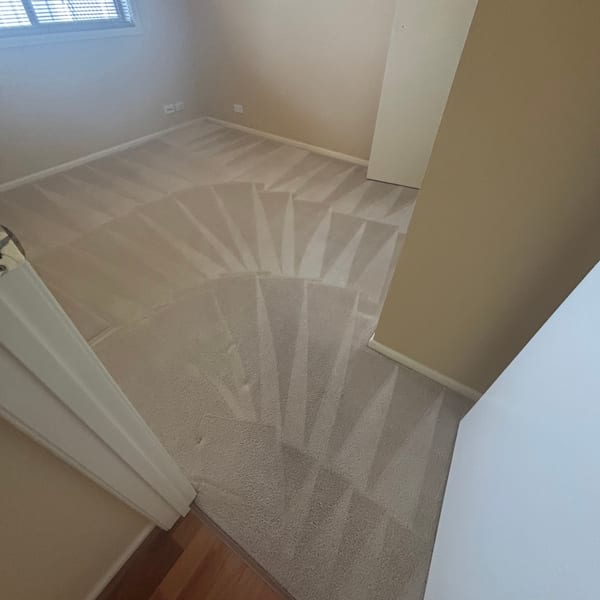 Carpet Cleaning